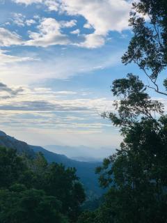 Eco Diamond Palace - 4