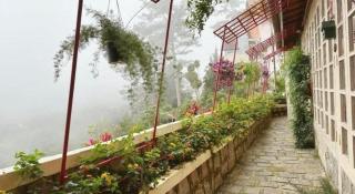 Dalat Old Market Town - 4