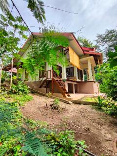 VidFauw Oasis Villa - 4