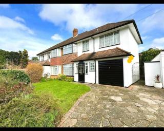 Love and Peace, Petts Wood - 9