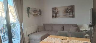 Lawa Apartments Kopaonik - 8