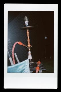 FLORAhouse - 7