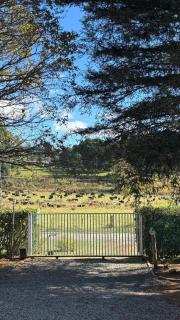 Anamcara Villa 1, Natal Midlands, Balgowan - 8