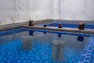 villa purnama - 2