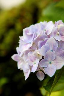 Blue Sea Pension - 8