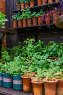 Blue Sea Pension - 6