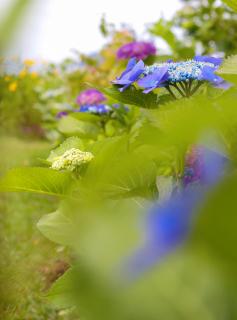 Blue Sea Pension - 5