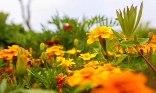 Blue Sea Pension - 4