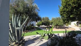 Oasi Cleopatra Luxury Suite B&B Puglia Salento - 5