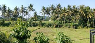 Ayuna Cottages - 6