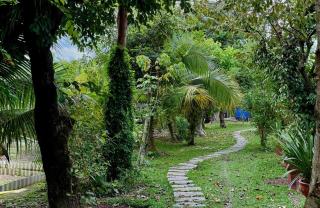 Bao Ong Thien Retreat - Khu Nghỉ Dưỡng Bào Ông Thiền - 5