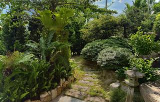 Bao Ong Thien Retreat - Khu Nghỉ Dưỡng Bào Ông Thiền - 2