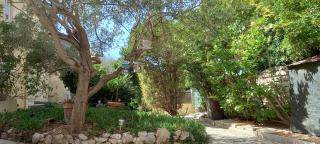 Maison jardin grande piscine , sortie bateau possible - 4