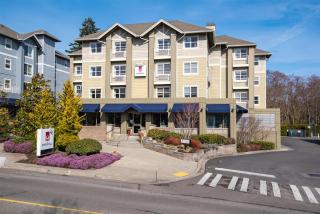 Marshall Suites Bainbridge Island, SureStay Collection by BW - 9