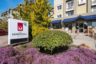 Marshall Suites Bainbridge Island, SureStay Collection by BW - 4