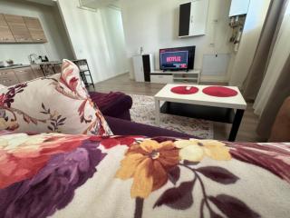 Apartamentul Familiei 3 langa Aeroport Otopeni - 9