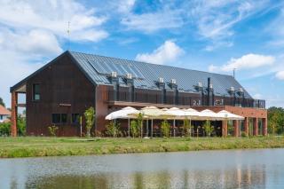 Salaš Stanković - 0