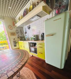 Green house, cosy garden Paris - 8