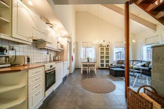 Alte Levi Dali Ski-in Ski-out by Aavalevi - 6