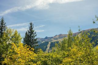 Grands Sorbiers #14 - 4 guests - Ski in - Ski out - 4