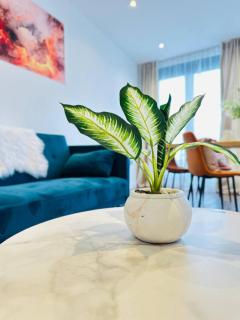 Gorgeous two bedroom luxury Apartment sleeps 6 - 8