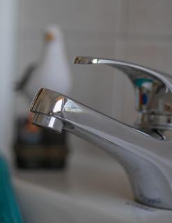 Haffgeflüster Roggow - 9