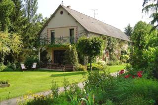 Fleurs des Champs - 0