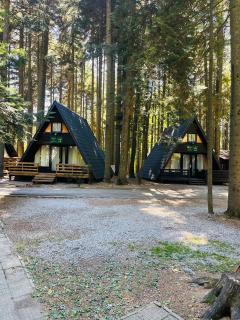 Villas Jagoda & Malina - 6