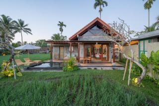 The Asiki Sebatu - 0