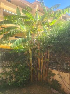 Apartamento Atlanterra Bajo - 5