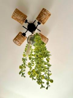 Le tre ceraselle house - 8