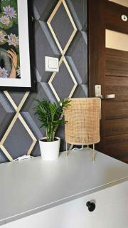 Studio z ogrodem przy Starej Zajezdni - 1