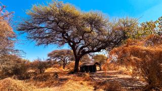 Camp Naledi - 0