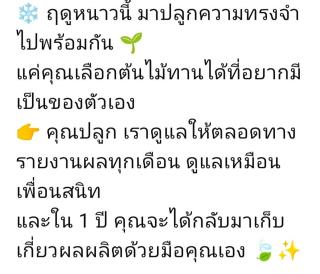 บ้านสวนกางโต้ง Ban Suan Kang Tong - 8