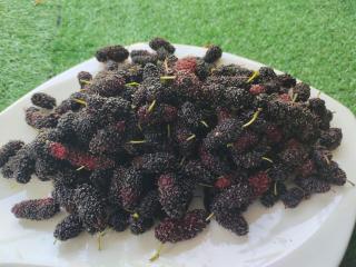 บ้านสวนกางโต้ง Ban Suan Kang Tong - 6