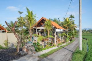 The Asiki Sebatu - 1