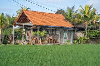 The Asiki Sebatu - 2