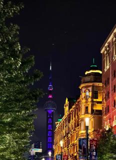 Purehome city center near Yuyuan and Bund - 2