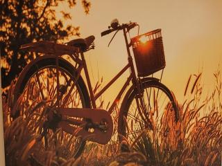 Anaga Tucho Natural Beach House - 4