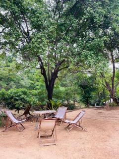 Randinu Rest - 3