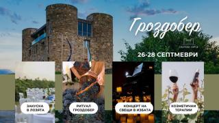 Chateau Copsa Complex - 0