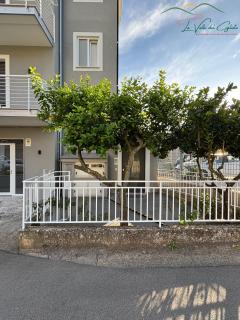 La valle del ciglioto - 9