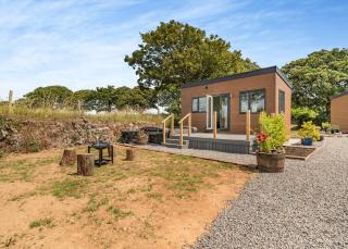 Calvesland Hideaway - Manorbier - 5