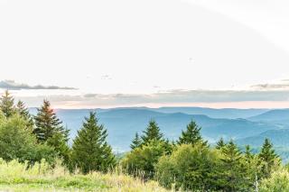 Evergreen Cabin at Snowshoe Mtn Resort - 3