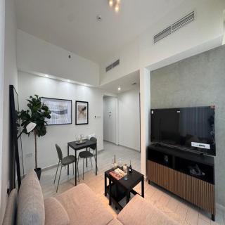 Luxury 1-bedroom fully furnished Lifeline apartment with free parking - 9