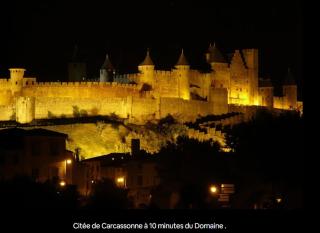 A 10 min de la cité Médiévale de Carcassonne - 1
