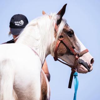 Somnara Villas 4 Houses near the beach - 2