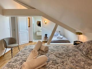 Gîte Vosges en Ville luxueux appartement Duplex avec sauna espace bien être au centre d'Epinal - 1