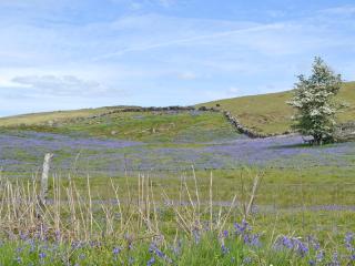 Sweet Meadow Lodge - 6