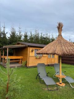 Villa de Alvydo Anykščiuose - 0